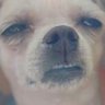 hj's profile picture