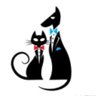 Profilbild von Vacation Kitty