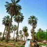 Фото профиля فاطمة عبدالرحمن