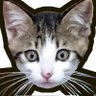 Profilbild von ぬこ