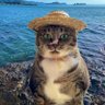 şekersiz profil fotoğrafı
