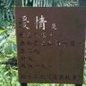 Profilbild von 宇妮兒