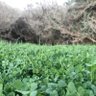 عبدالرحمن 的头像