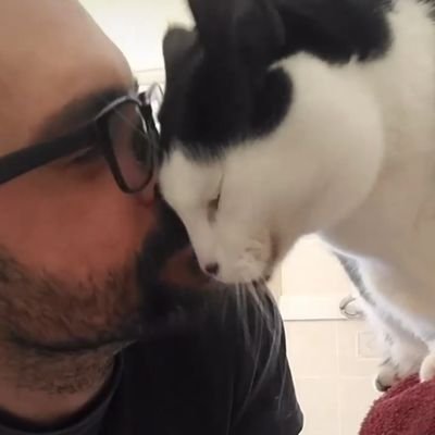 mathemactivist's profile picture