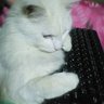 6/10まで暇じゃない人 profil fotoğrafı