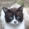 774 774's profile picture