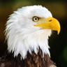 Profilbild von Keith