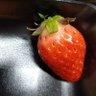 さがほのか 的头像