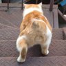 モスマン's profile picture