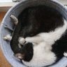 サトポン's profile picture