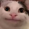 Profilbild von Zeryeul