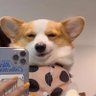 Profilbild von 嘿嘿