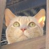 TheWayISeeThings profil fotoğrafı