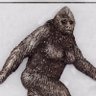 Profilbild von Sassy Sasquatch ๐ค