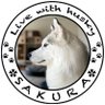 Фото профиля Live with husky