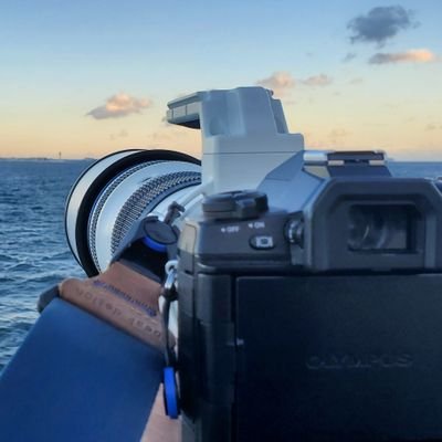 ハートマン提督's profile picture