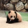 ないと profil fotoğrafı