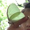 虫母 的头像