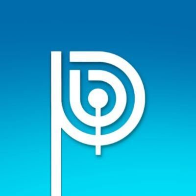 PioPioChile's profile picture