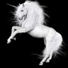 Profilbild von 🐎