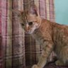 Nasabah Solitaire profil fotoğrafı