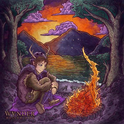 WVNDERband's profile picture
