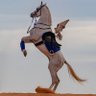 Фото профиля Mazen