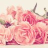 mi's profile picture
