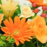 Фото профиля 🍊ひろみん🍊なぜ移民,定住,帰化？出稼ぎでええやん