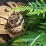 Фото профиля snek 🐍