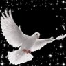 التعلم عن بعد's profile picture