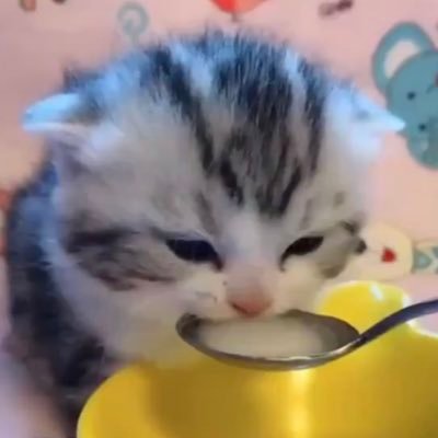 HumDinky's profile picture