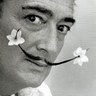 Profilbild von المايسترو معيض
