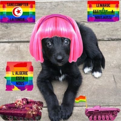 Damien langlois's profile picture