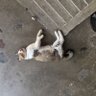 . 的头像