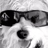 Tower's profile picture
