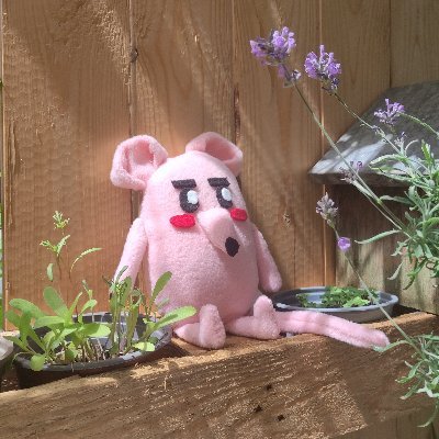 dollo 🌼 In the Weeds's profile picture