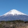 義人じいさま 的头像