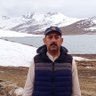 M Asif 的头像