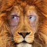 Skankbones's profile picture
