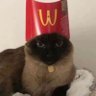 Adi ﾒ𝟶's profile picture
