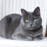 Фото профиля Kat