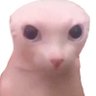 Bingus's profile picture