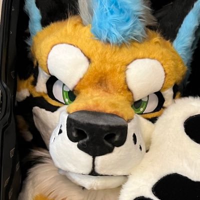 焦糖/Caramel's profile picture