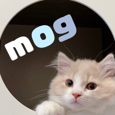 mog's profile picture