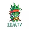 韭菜TV 的头像