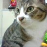 ターボくん's profile picture
