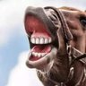 𝖀𝖕𝖎𝖑 𝖏𝖆𝖗𝖆𝖓's profile picture
