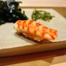 🦐ちゃん's profile picture