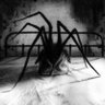 TheBabadook profil fotoğrafı